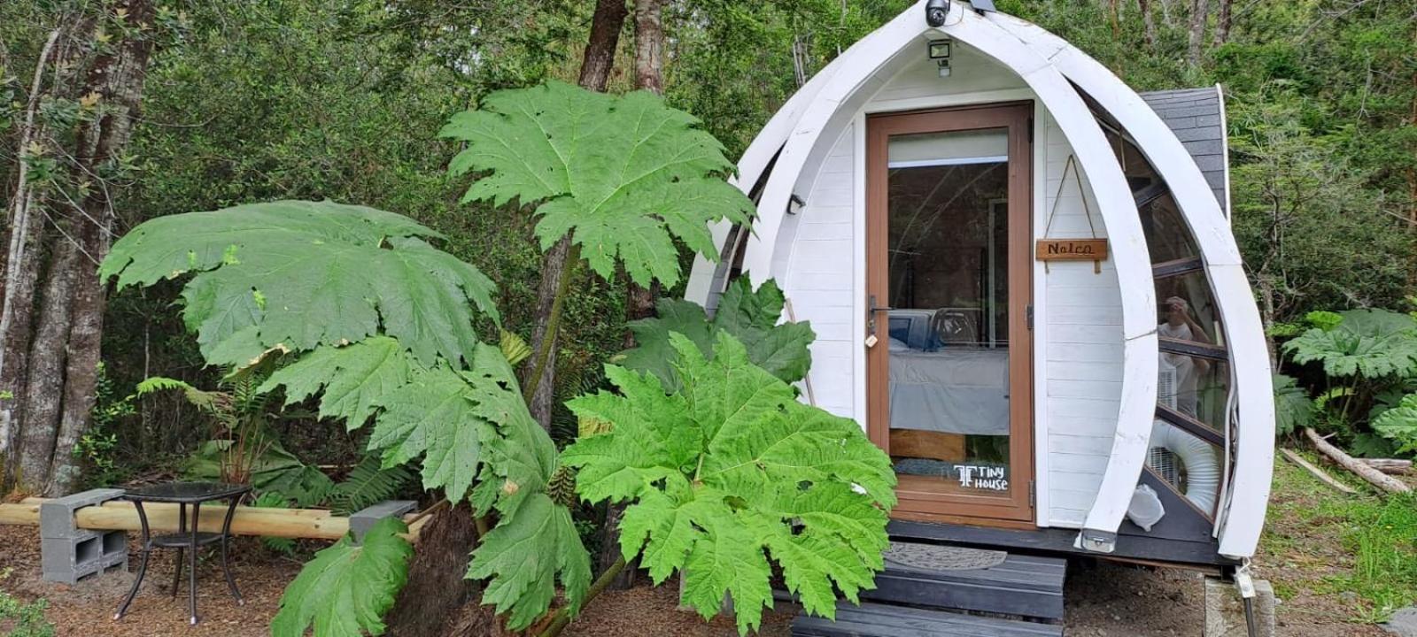 Cabanas Los Volcanes Ensenada Puerto Varas Exteriér fotografie